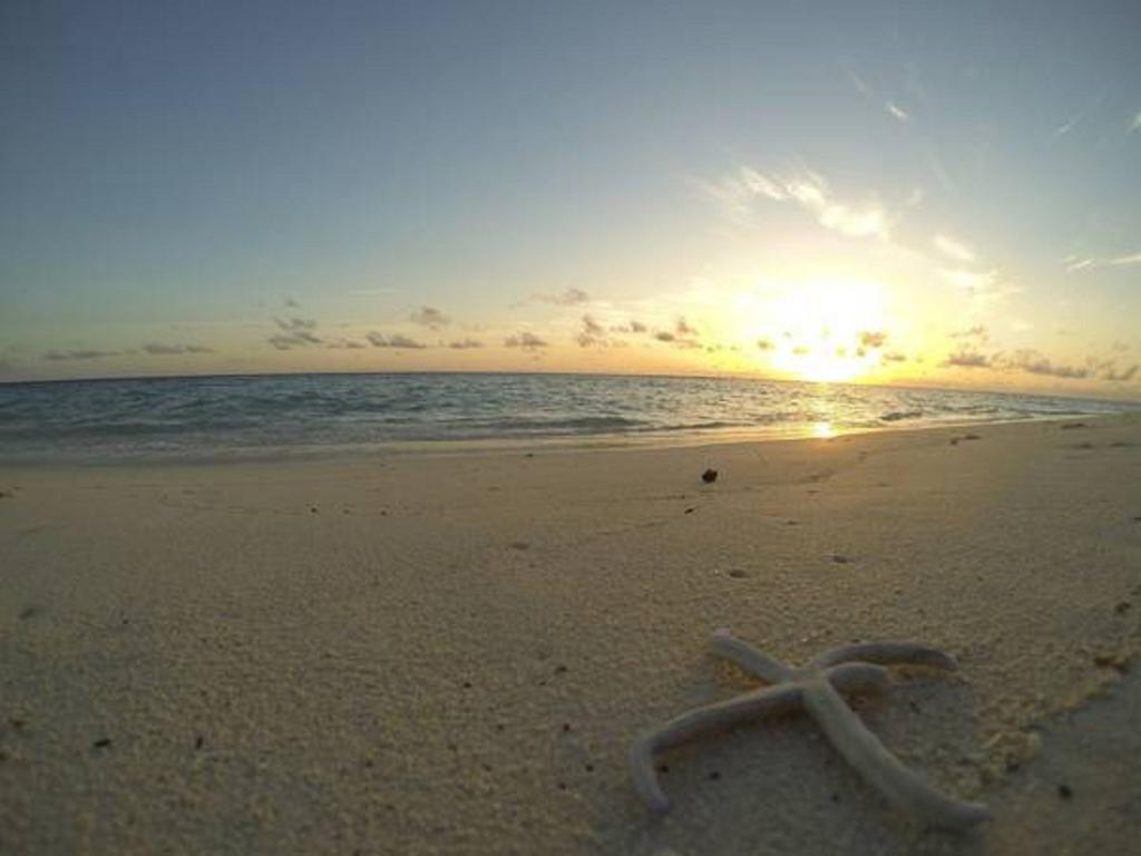 Local Island Inn Hangnaameedhoo Εξωτερικό φωτογραφία