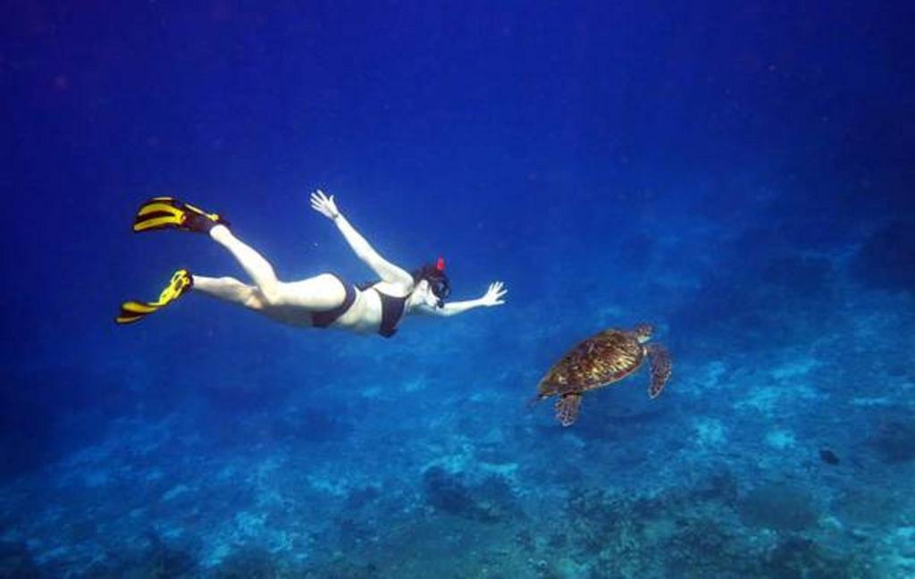 Local Island Inn Hangnaameedhoo Εξωτερικό φωτογραφία