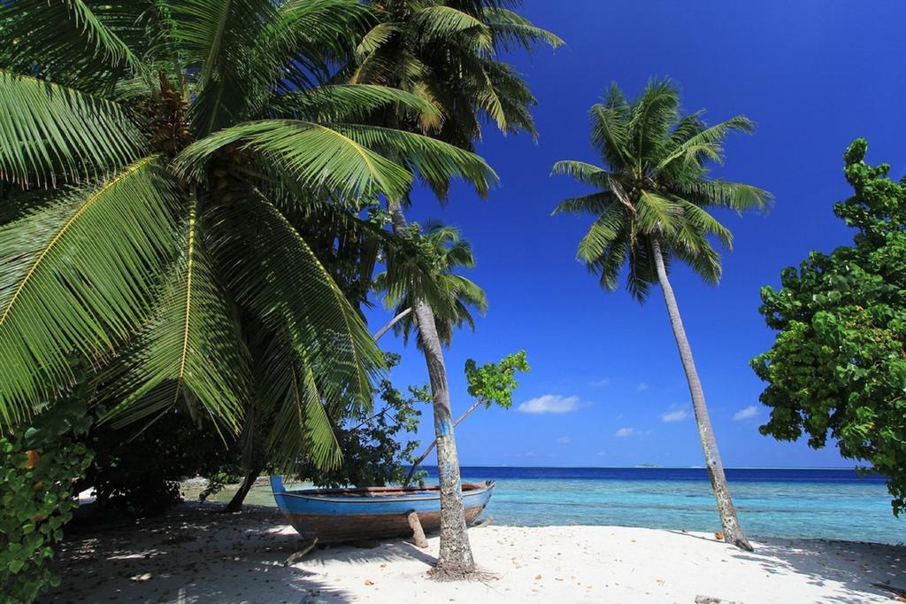 Local Island Inn Hangnaameedhoo Εξωτερικό φωτογραφία