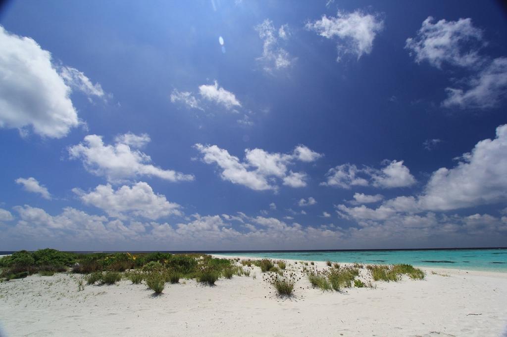 Local Island Inn Hangnaameedhoo Εξωτερικό φωτογραφία