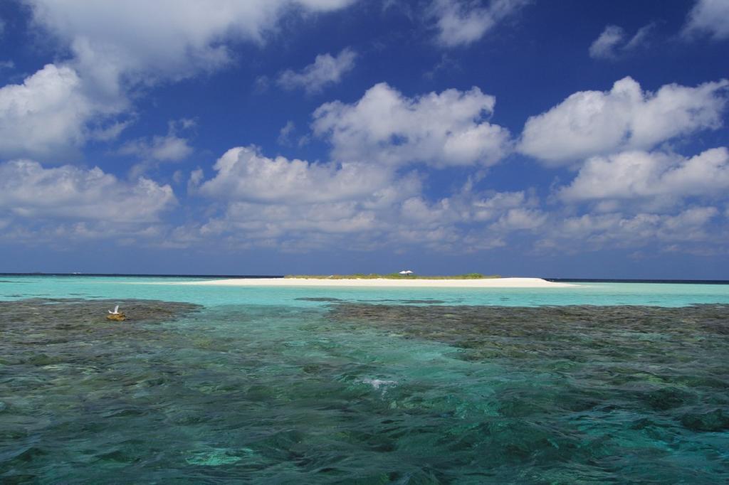 Local Island Inn Hangnaameedhoo Εξωτερικό φωτογραφία