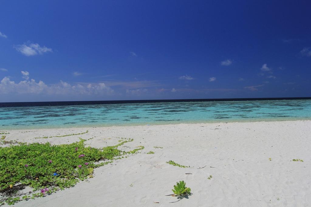 Local Island Inn Hangnaameedhoo Εξωτερικό φωτογραφία