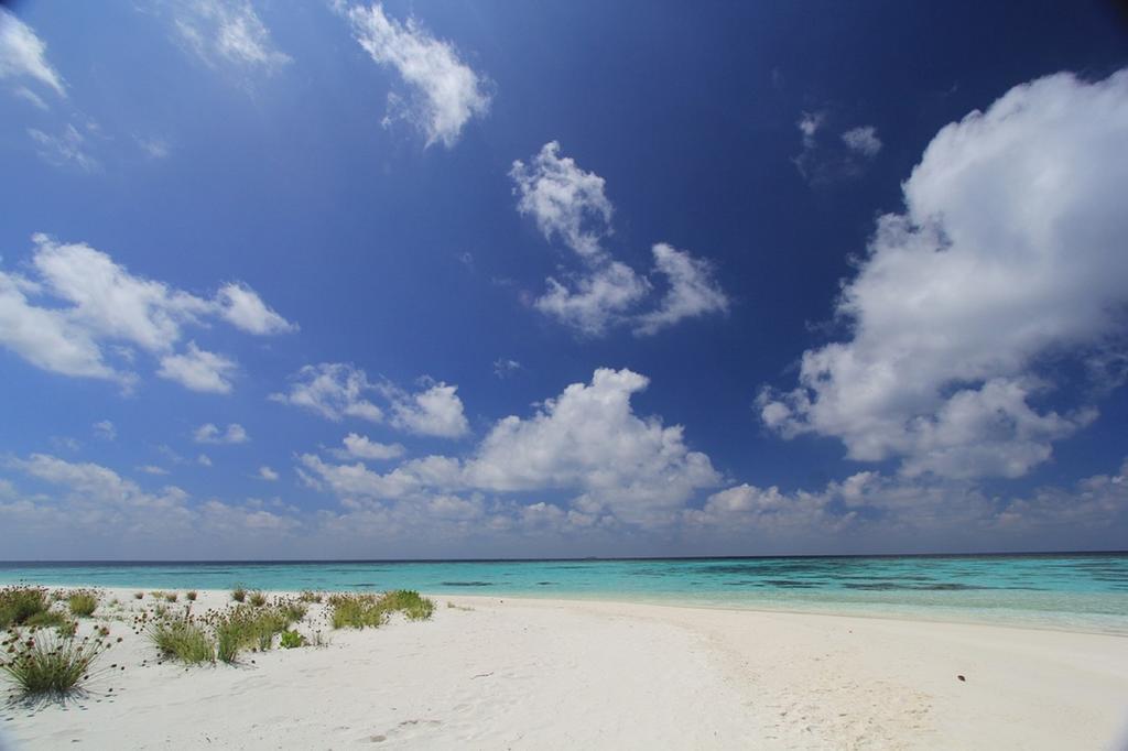 Local Island Inn Hangnaameedhoo Εξωτερικό φωτογραφία